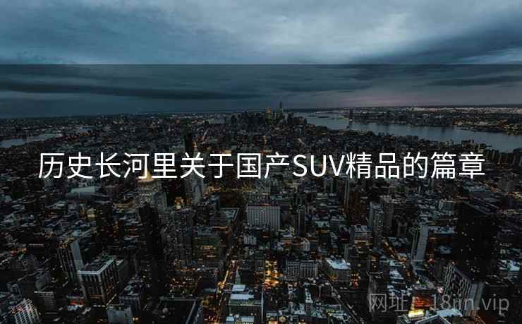 历史长河里关于国产SUV精品的篇章  第2张